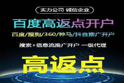 百度竞价公司与品牌合作：双赢的案例分析